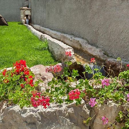 Il Frantoio A Monte-Vicino Al Lago Malcesine Eksteriør billede